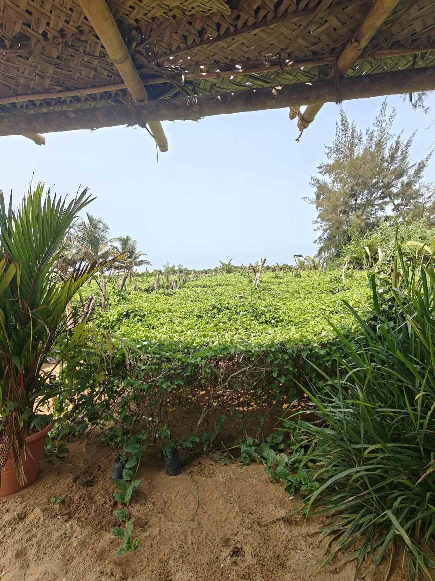 Nakshatra Beach Stay Gokarna  Exterior foto